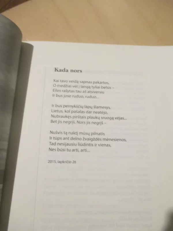 Neprikelkime miegančio laiko - Romualdas Žilinskas (Kaip lietus), knyga 6