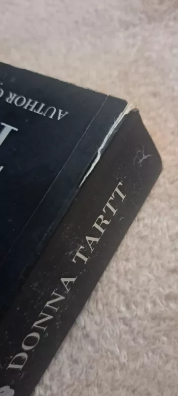 The little friend - Donna Tartt, knyga 3