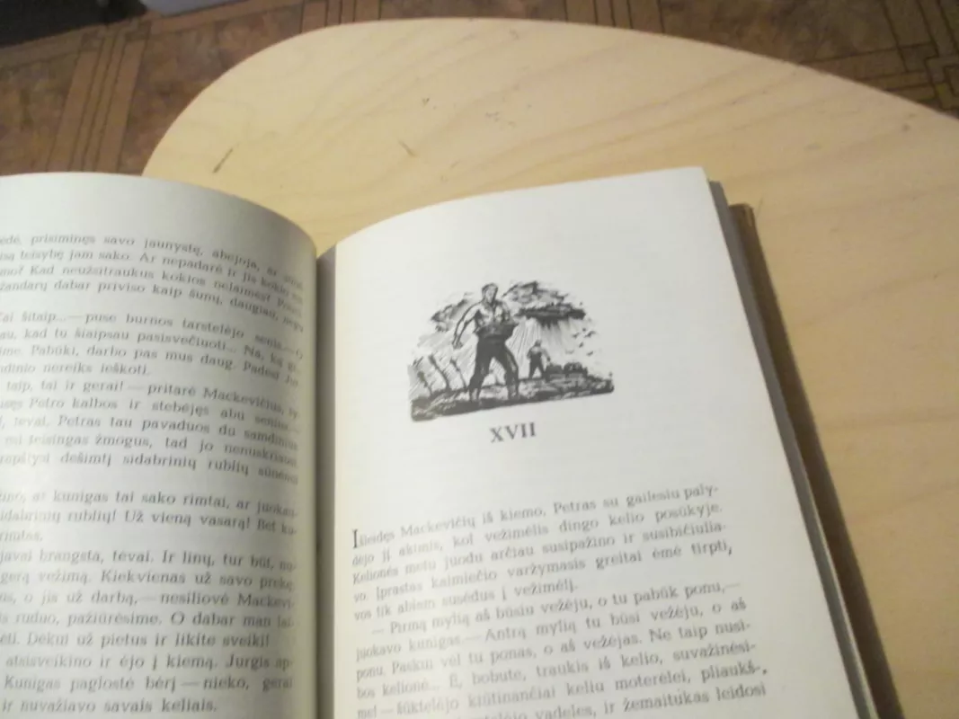 Sukilėliai (1 tomas) - Vincas Mykolaitis-Putinas, knyga 5