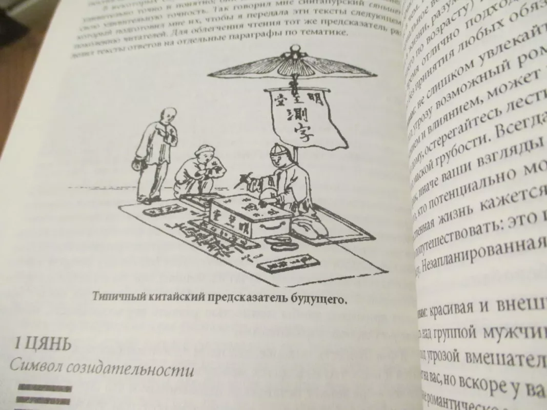 Feng Šhui kelias (rusų k.) - Philippa Waring, knyga 5