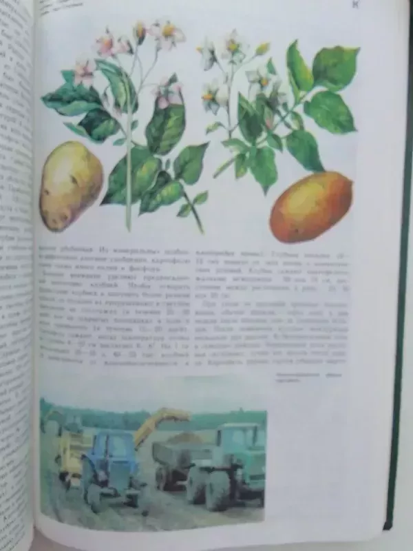 Jaunojo žemdirbio enciklopedinis žodynas (rusų kalba) - Autorių kolektyvas (įvairūs), knyga 3