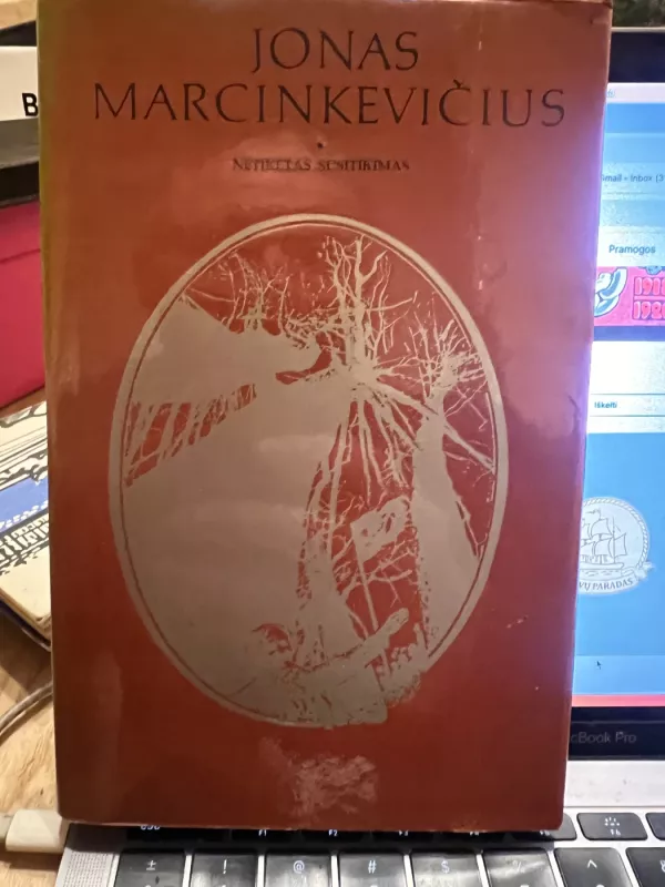 Netikėtas susitikimas - Jonas Marcinkevičius, knyga 2