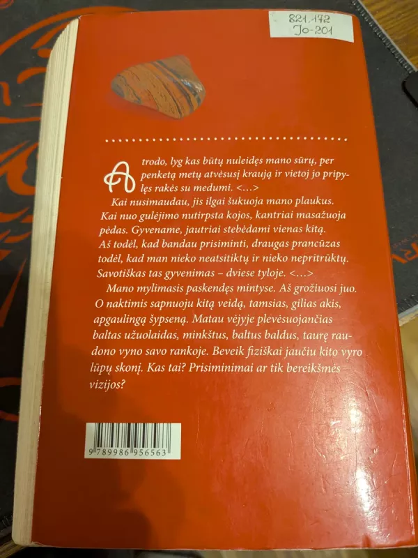 Jūros akmenukų karoliai - Indrė Jonušytė, knyga 2