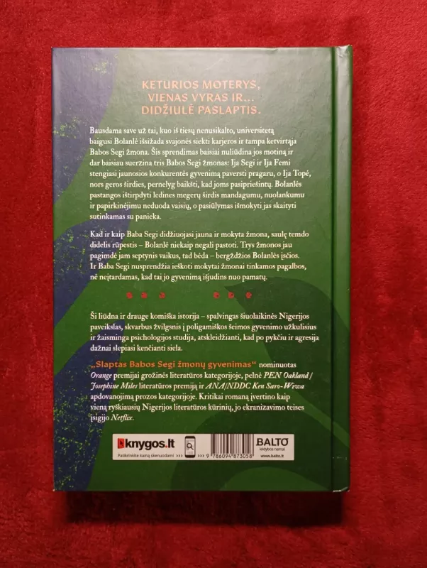 SLAPTAS BABOS SEGI ŽMONŲ GYVENIMAS - Shoneyin Lola, knyga 3