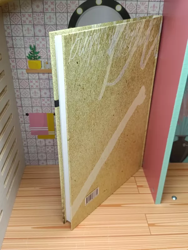 Loginiai ir gnoseologiniai tyrinėjimai - Vosylius Sezemanas, knyga 5