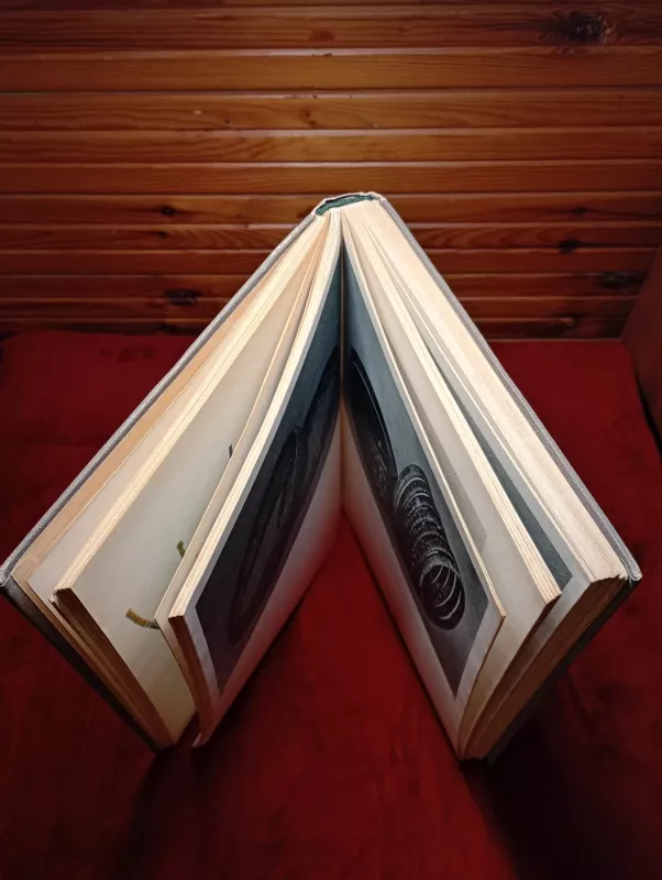 Lietuvių liaudies menas. Papuošalai (I knyga) - J. Kulikauskienė, knyga 5