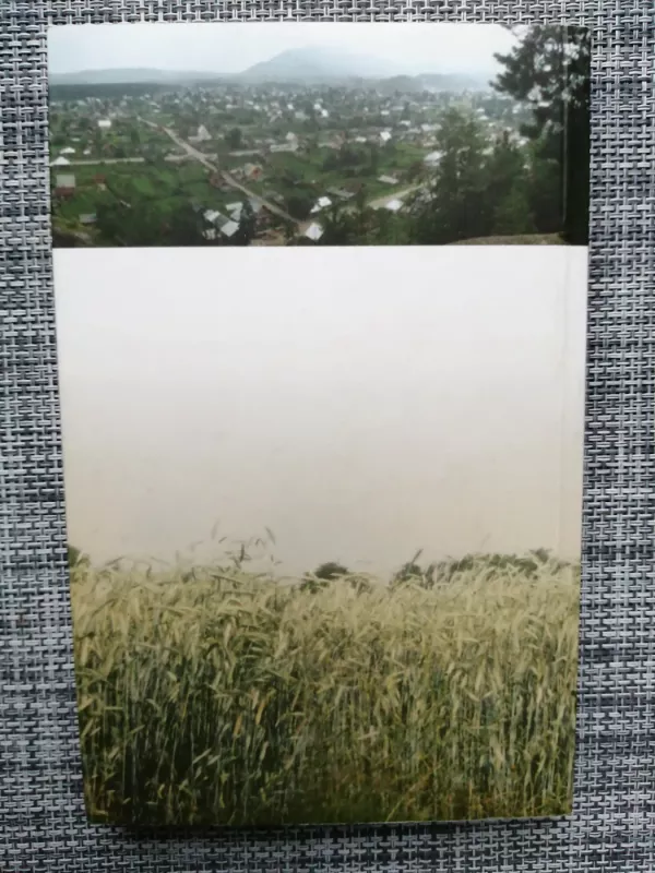 Kur mano tėviškė? - Marija Grabauskaitė-Augustinienė, knyga 4