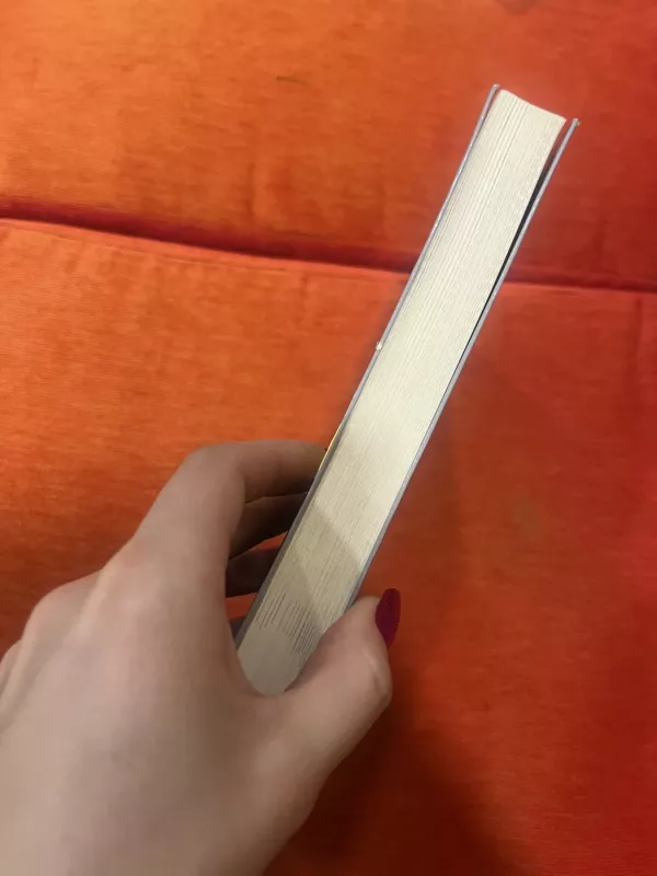 Pasaulio verslo kultūros ir kaip jas perprasti - Barry Tomalin, Mike  Nicks, knyga 5