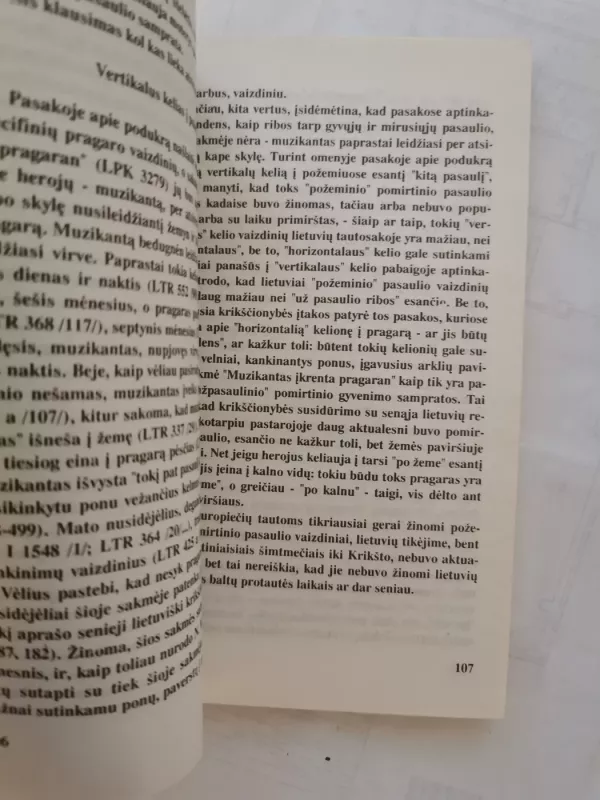 Dausos • Pomirtinio gyvenimo samprata senojoje lietuvių pasaulėžiūroje - Gintaras Beresnevičius, knyga 6