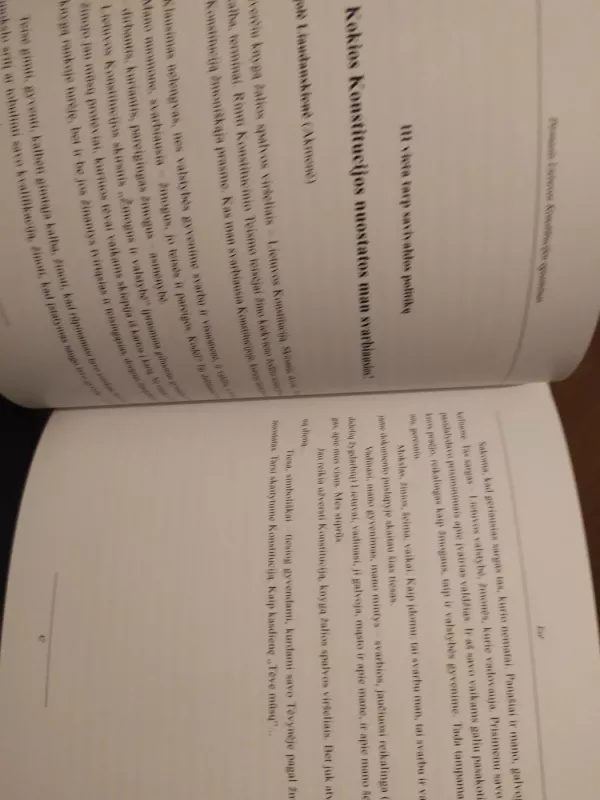 Pirmasis Lietuvos Konstitucijos egzaminas - Erika Straigytė, knyga 5