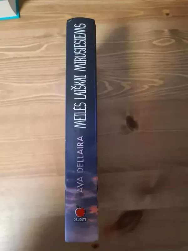 Meilės laiškai mirusiesiems - Ava Dellaira, knyga 3