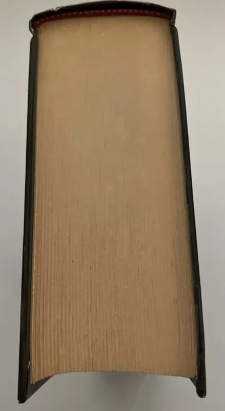 Idiotas - Fiodoras Dostojevskis, knyga 6