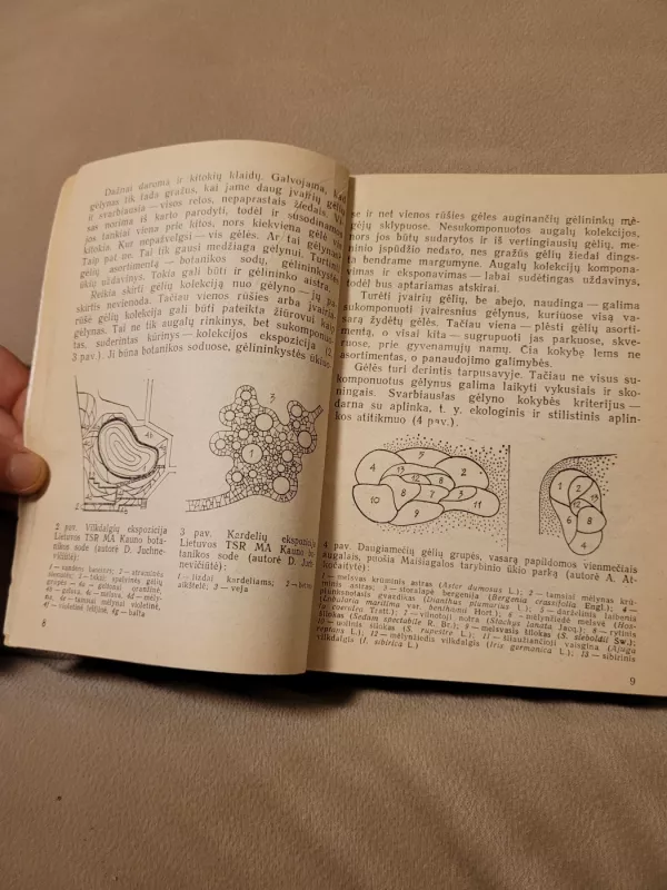 Gėlynai ir aplinka - D. Juchnevičiūtė, knyga 3