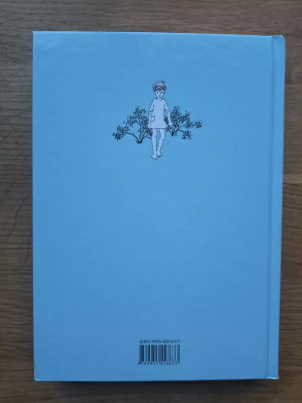 Mijo, mano Mijo - Astrid Lindgren, knyga 3