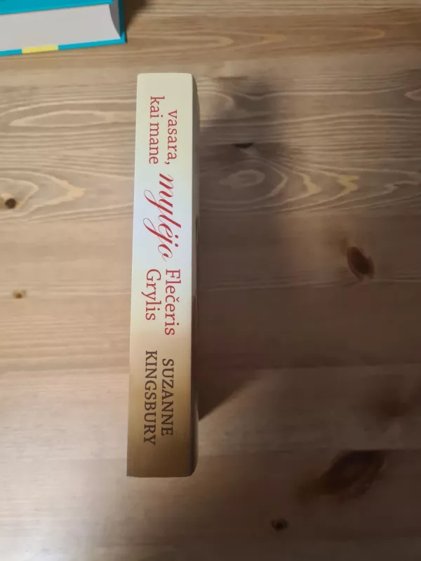 Vasara,kai mane mylėjo Flečeris Grylis - Suzanne Kingsbury, knyga 3