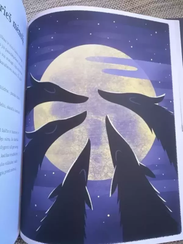 Vakaro pasakos iš viso pasaulio - Autorių Kolektyvas, knyga 6