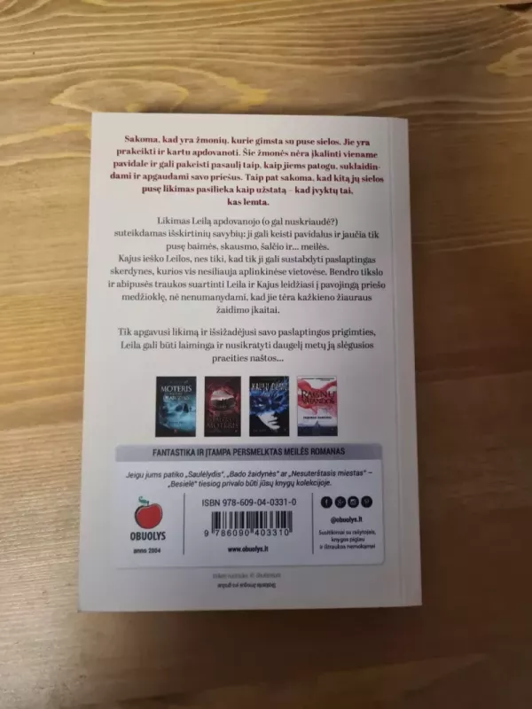 Besielė - Aistė Vilkaitė, knyga 3