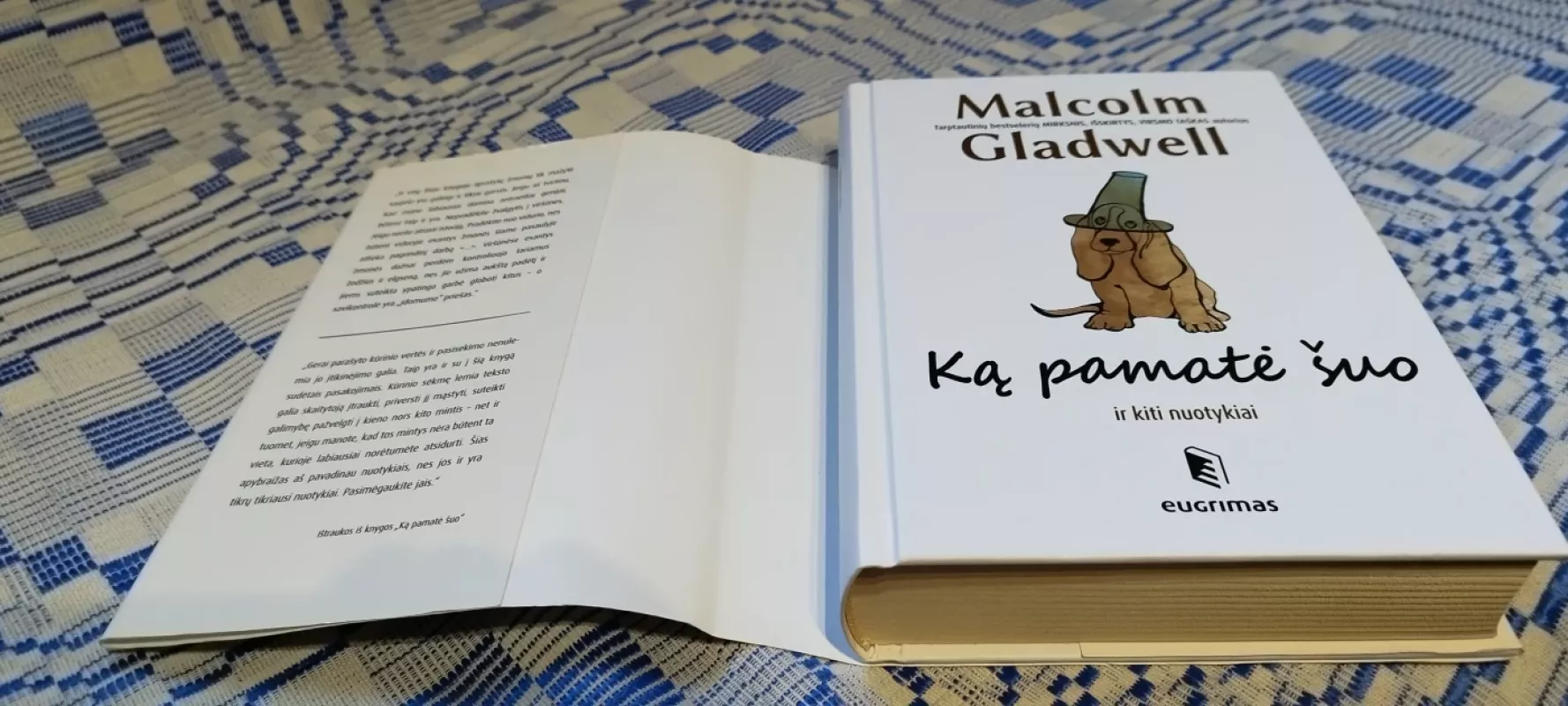 Ką pamatė šuo? - Malcolm Gladwell, knyga 5