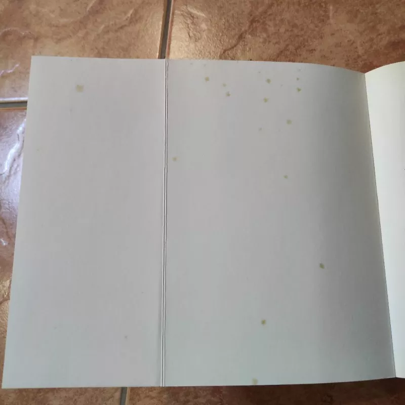 (Ne)pasmerkti: apie priklausomybę, kopriklausomybę ir sveikimo kelionę - Kęstutis Dvareckas, Justina Kymantienė, Andrius Navickas, knyga 6