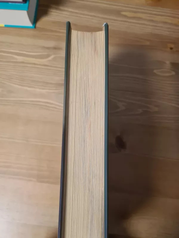 Inesė - Isabel Allende, knyga 5