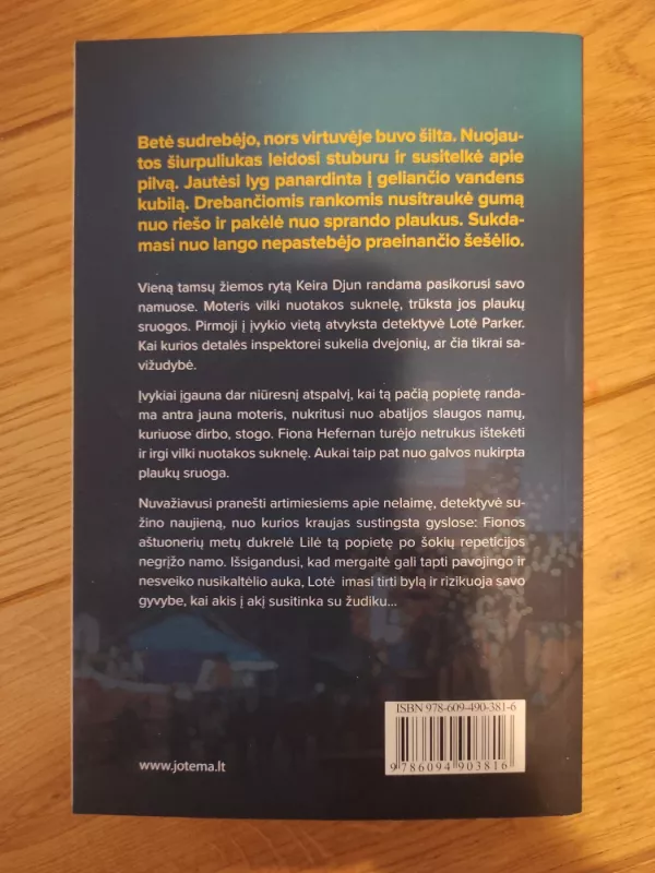 Palūžusios sielos - Patricia Gibney, knyga 3