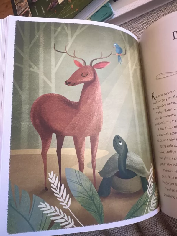 Vakaro pasakos iš viso pasaulio - Autorių Kolektyvas, knyga 5