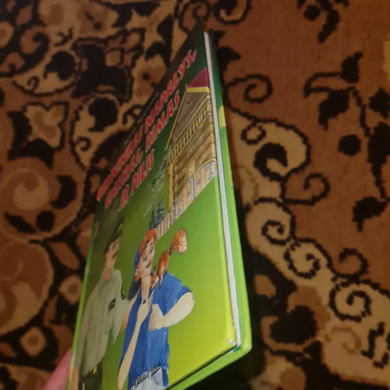 Girininkas Napalys, gaisras, Rimas ir pilis - Juozas Nekrošius, knyga 3