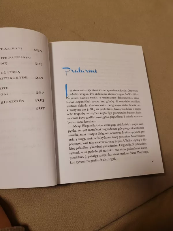 Madam elegancijos pamokos - Jennifer L. Scott, knyga 3