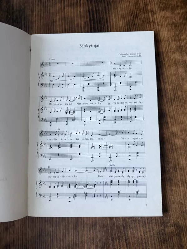 Teka saulelė - Galina Savinienė, knyga 4