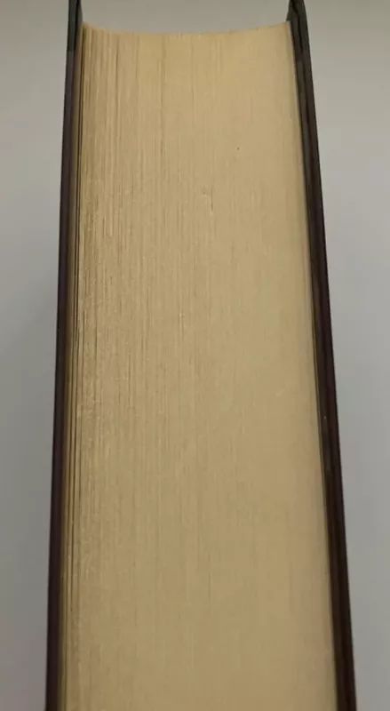 Idiotas - Fiodoras Dostojevskis, knyga 5