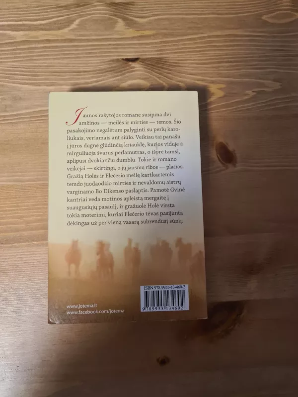 Vasara,kai mane mylėjo Flečeris Grylis - Suzanne Kingsbury, knyga 4