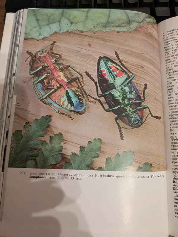 Iliustrirovanaja enciklopedija nasekomich - B. J. Stanek, knyga 4
