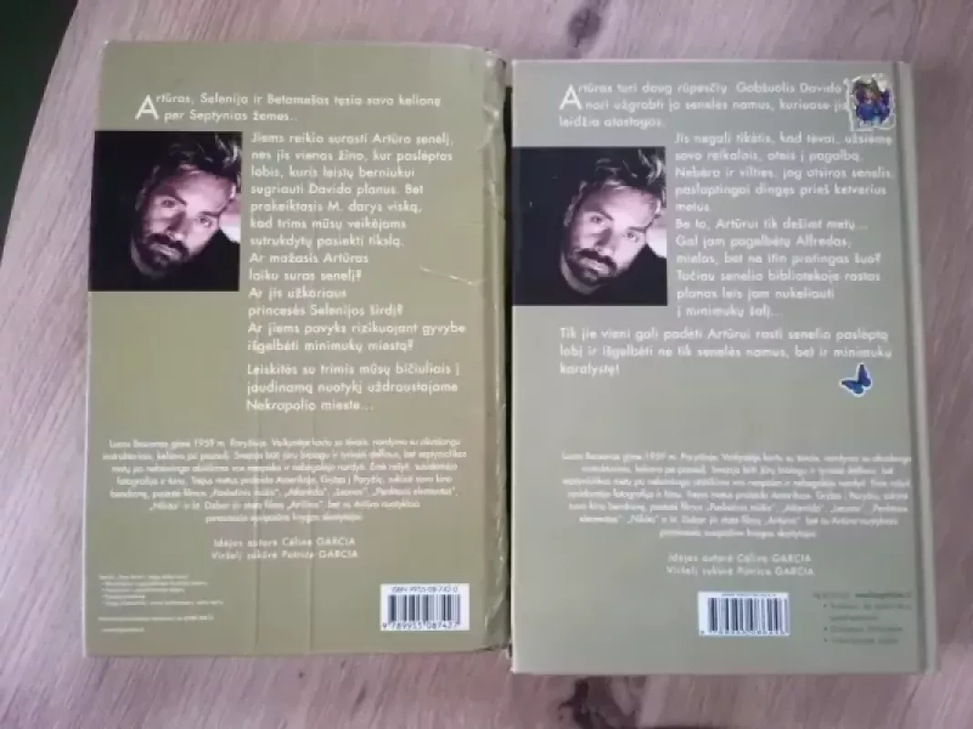 Artūras ir minimukai - Luc Besson, knyga 5