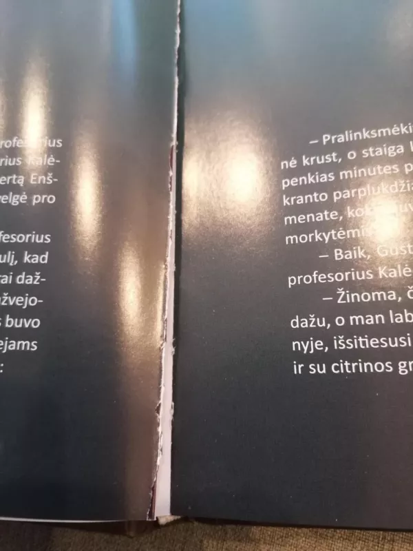 Nepaprasti Gustavo ir profesoriaus Kalėdausko nuotykiai - Audrius Rakauskas, Vaidas Lekavičius, Augustinas Gricius, knyga 3