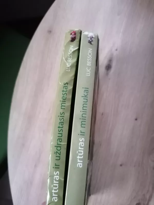 Artūras ir minimukai - Luc Besson, knyga 4