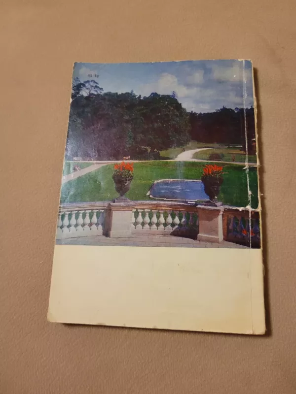 Gėlynai ir aplinka - D. Juchnevičiūtė, knyga 4