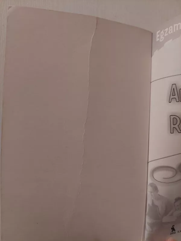 Ar moki rusų kalbą - Marija Brezgina, knyga 3