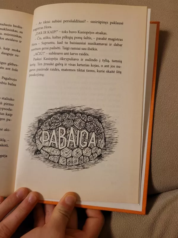 Momo - Michael Ende, knyga 4