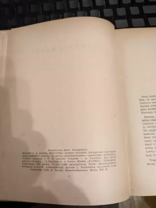 Tremties metai. Lietuvių rašytojų metraštis - Autorių Kolektyvas, knyga 4