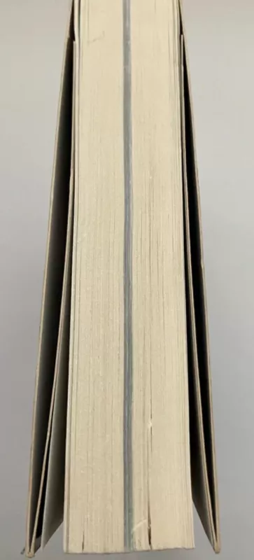 Visos mano Indijos - Diana Mickevičienė, knyga 6