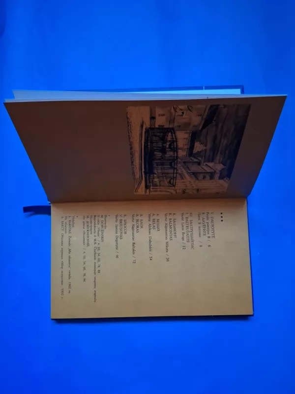 Iš sidabro amžiaus lyrikos = Iz liriki serebrianogo vieka - Autorių kolekyvas, knyga 3