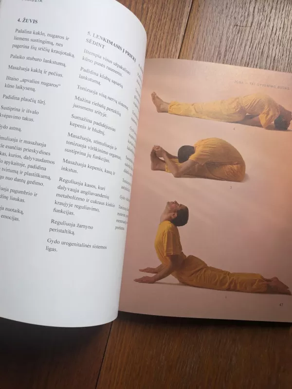 Meditacija - The Sivananda Yoga Vedanta Centre, knyga 5