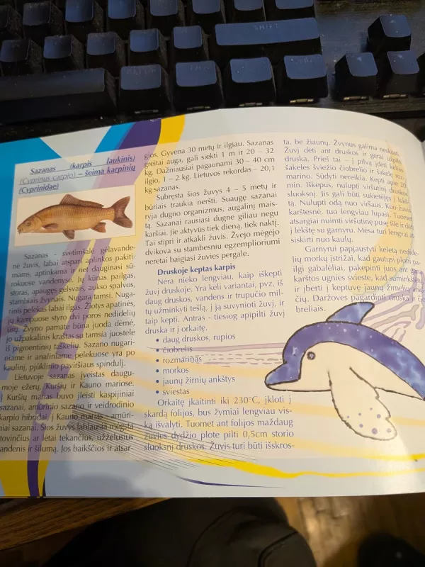 Sugauk mane Birštone - Autorių grupė, knyga 2