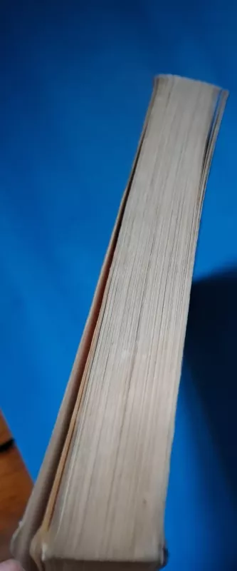 Beatričė ir dangiškieji kūnai - Lucia Etxebarria, knyga 5