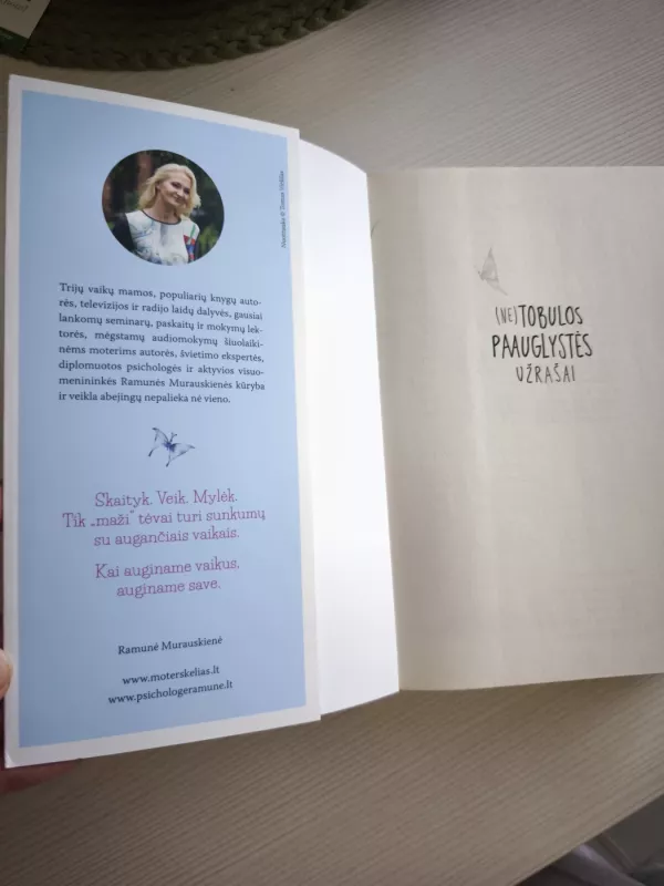 (Ne)Tobulos paauglystės užrašai - Ramunė Murauskienė, knyga 4