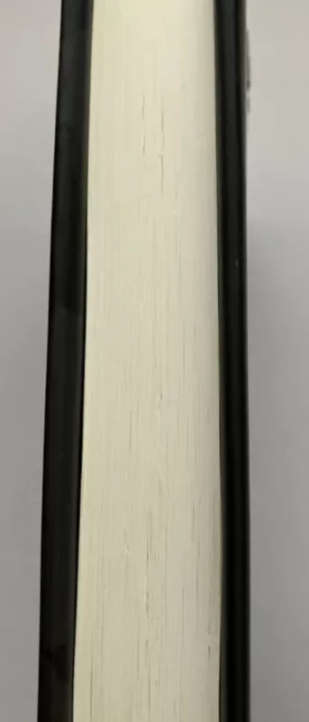 James Kirchik The end of Europe - James Kirchik, knyga 4