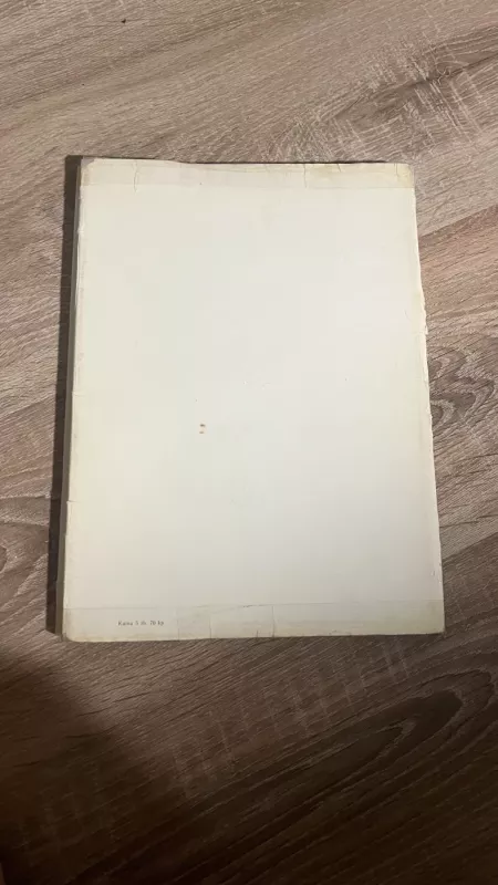 Vakarų Europos tapyba - Birutė Ziutelienė, knyga 6