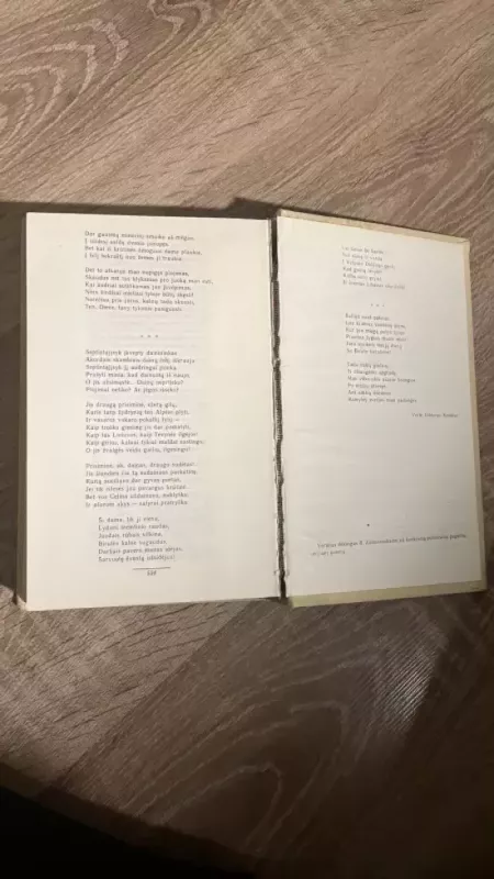 Maironis raštai II tomas -  Maironis, knyga 6