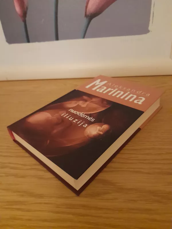 Nuodėmės iliuzija - Aleksandra Marinina, knyga 3