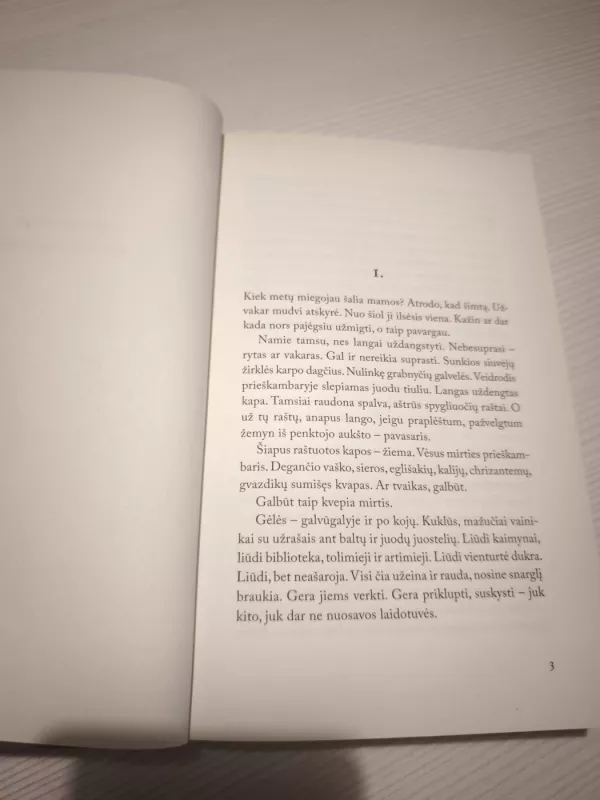 Katė,kurios reikėjo - Sandra Bernotaitė, knyga 3